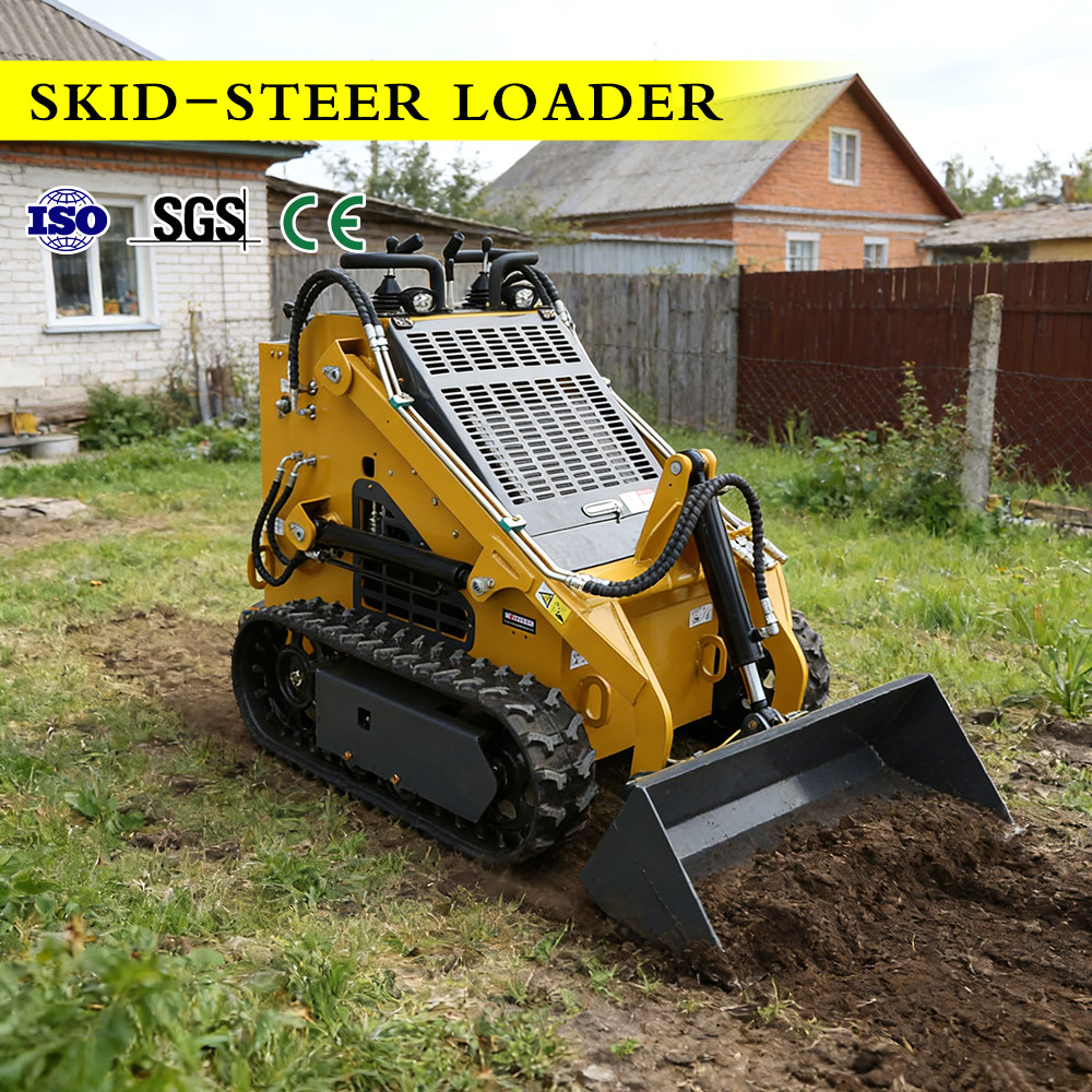 Minicargadora de Dirección Des - Brand Heavy Equipment reseña y precio