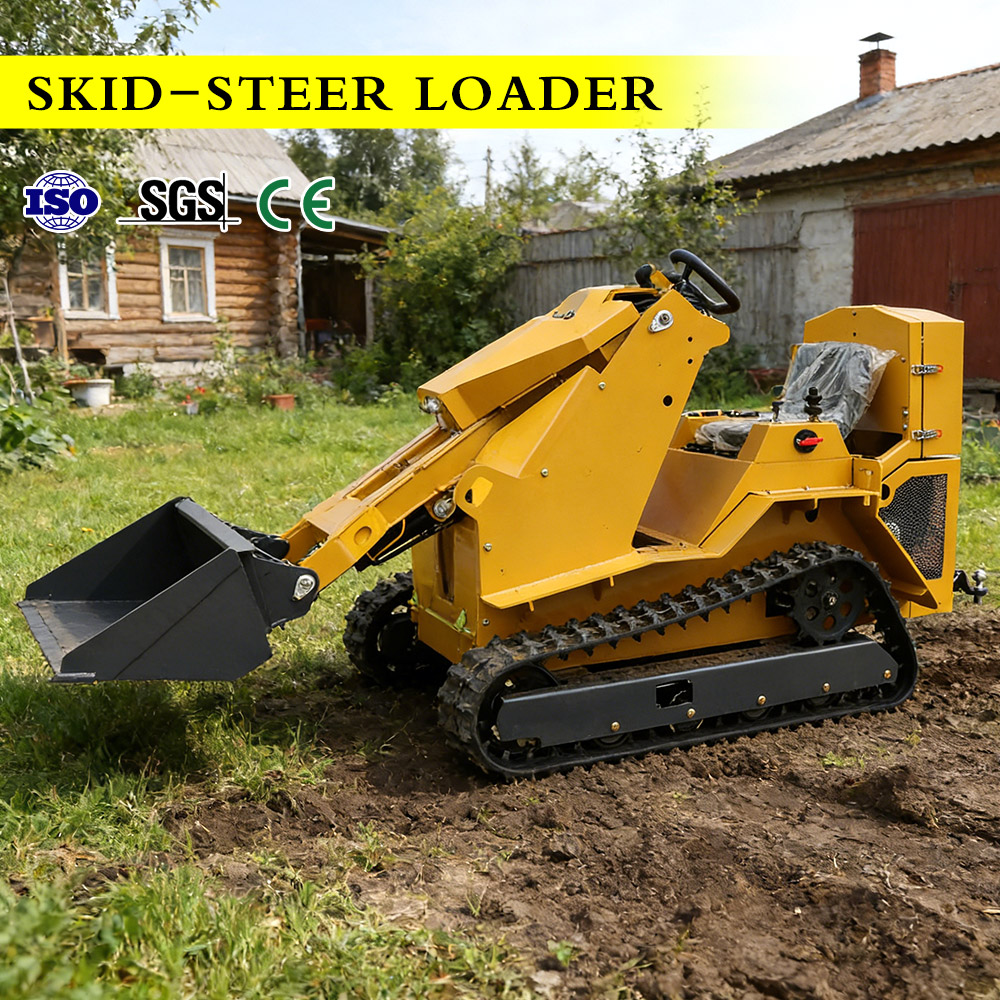 Minicargadora de Dirección Des - Brand Heavy Equipment reseña y precio